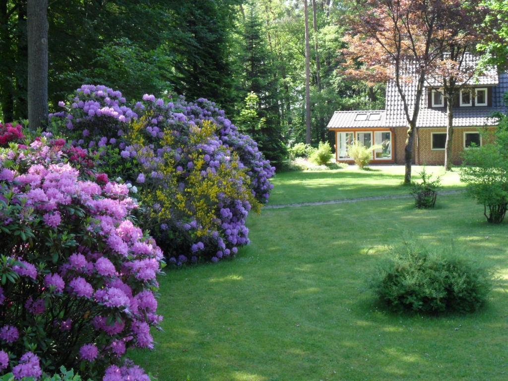 Ferienwohnungen / Ferienhaus Wahlers Bispingen Eksteriør billede