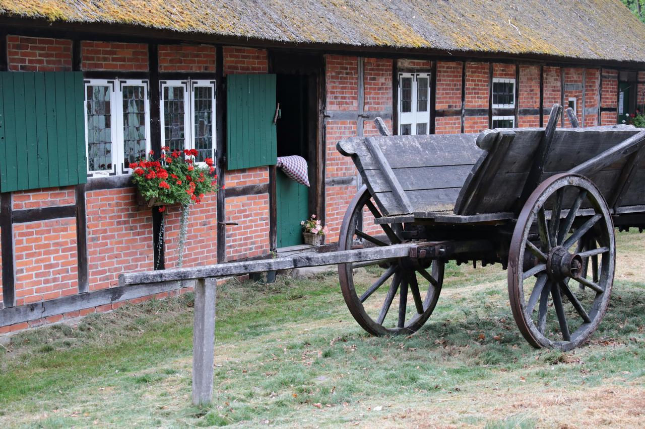 Ferienwohnungen / Ferienhaus Wahlers Bispingen Eksteriør billede
